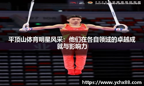 平顶山体育明星风采：他们在各自领域的卓越成就与影响力