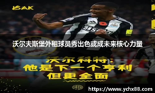 沃尔夫斯堡外租球员秀出色或成未来核心力量