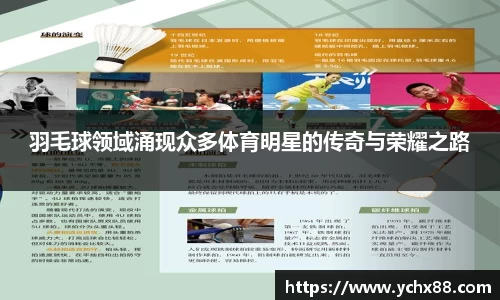 羽毛球领域涌现众多体育明星的传奇与荣耀之路