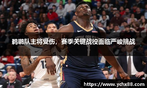 鹈鹕队主将受伤，赛季关键战役面临严峻挑战