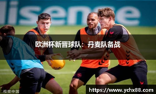欧洲杯新晋球队：丹麦队备战