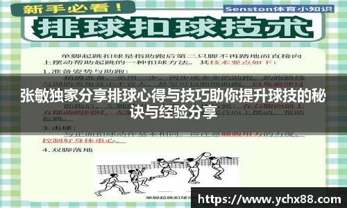 张敏独家分享排球心得与技巧助你提升球技的秘诀与经验分享