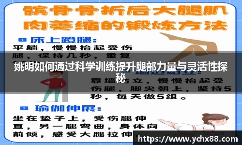 姚明如何通过科学训练提升腿部力量与灵活性探秘