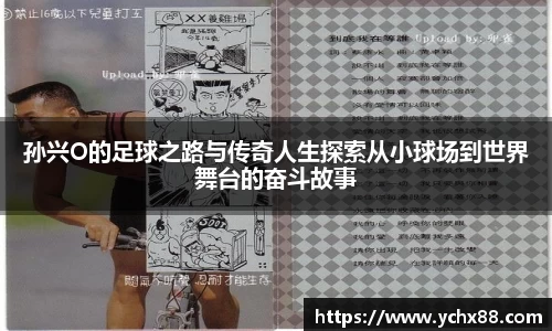 emc易倍体育官方
