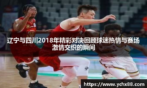 辽宁与四川2018年精彩对决回顾球迷热情与赛场激情交织的瞬间